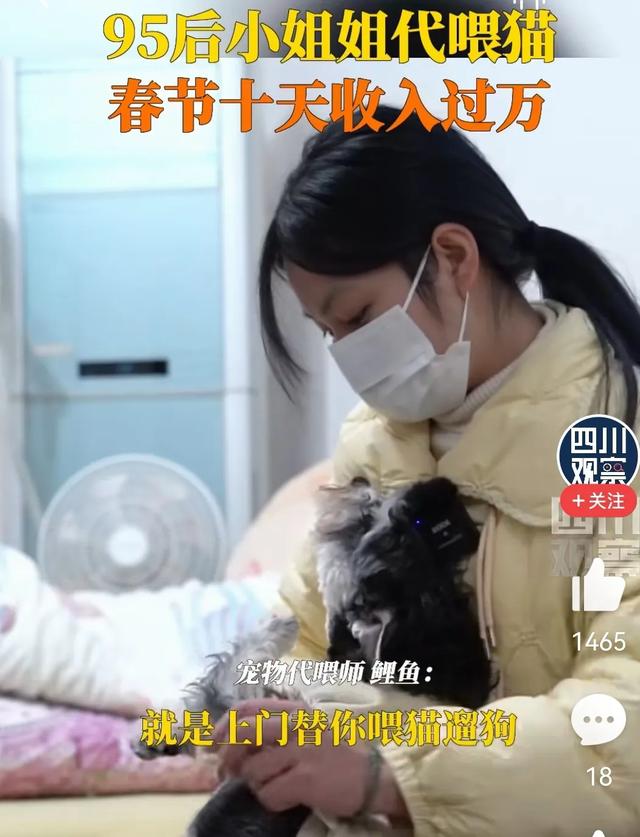 帮喂猫月薪过万,代喂宠物兼职平台