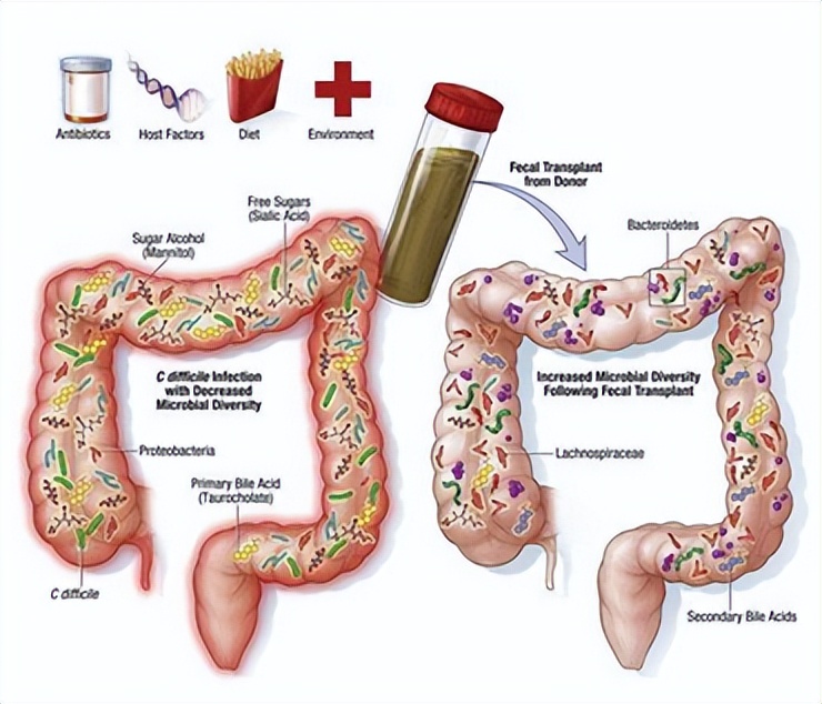 301医院主任医师杨光,北京301解放军总医院杨光