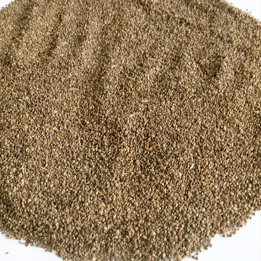 中医认为肛门瘙痒症的发病原因是什么？有何治疗建议？