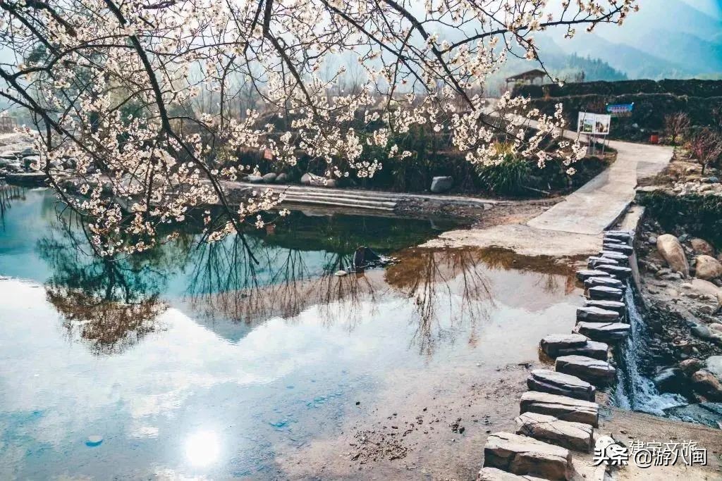 世界最大的梯田,世界梯田之最