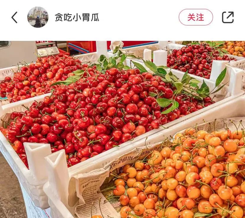 城市里最适合养老的房子,适合养老的花园惬意洋房