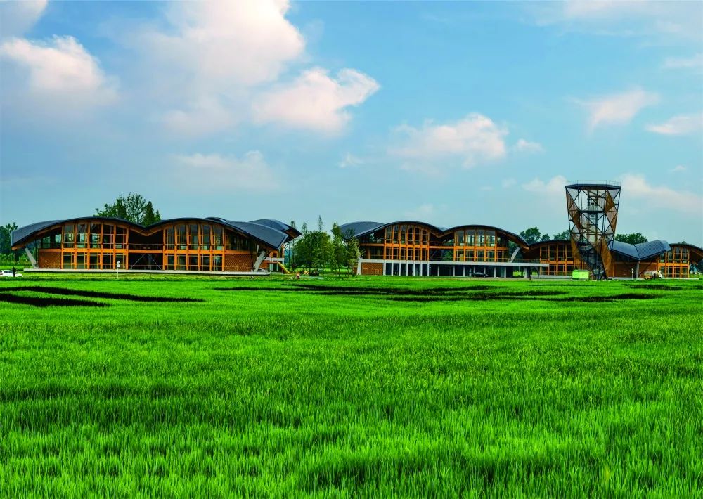 收藏打卡活动,收藏有礼活动