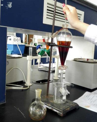 基于介孔TiO2/Au@Ag纳米复合材料的拉曼免疫传感器研究