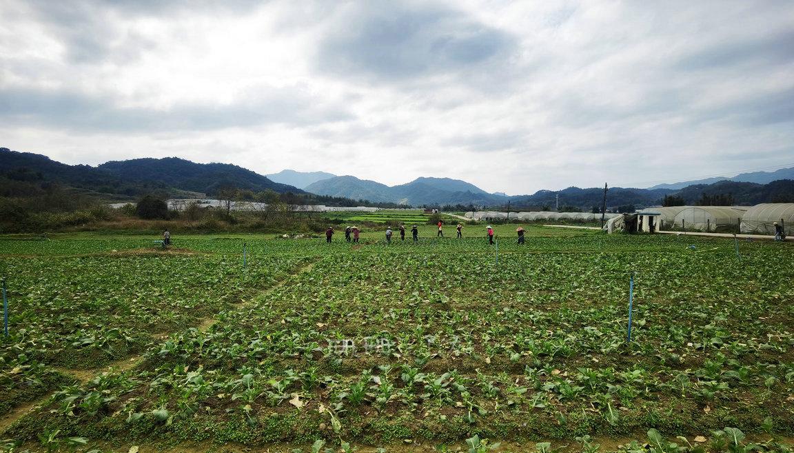 广州从化超全旅游攻略,从化特色古村落一日游