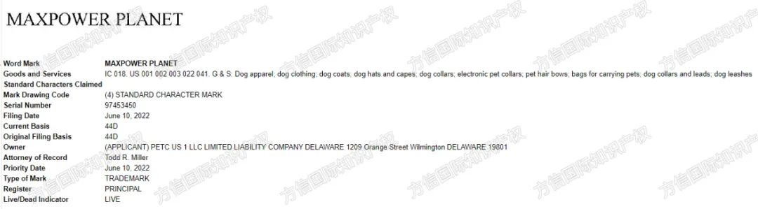 tiktok鐮翠嚎绮変笣瑙傜湅,tiktok鐮翠嚎绮変笣鍏虫敞