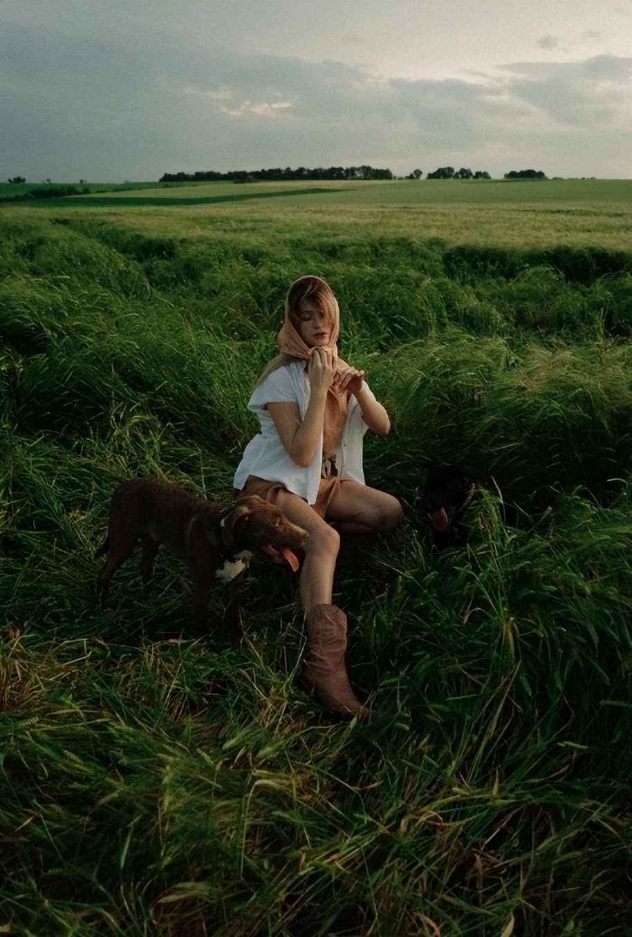 如何走出自己的迷茫和悲伤,越来越迷茫不知道自己该怎么办