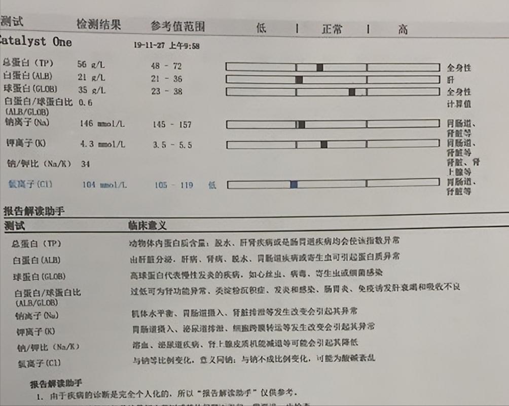 细小痊愈后多久能接触别的狗狗,细小治愈之后不活泼了