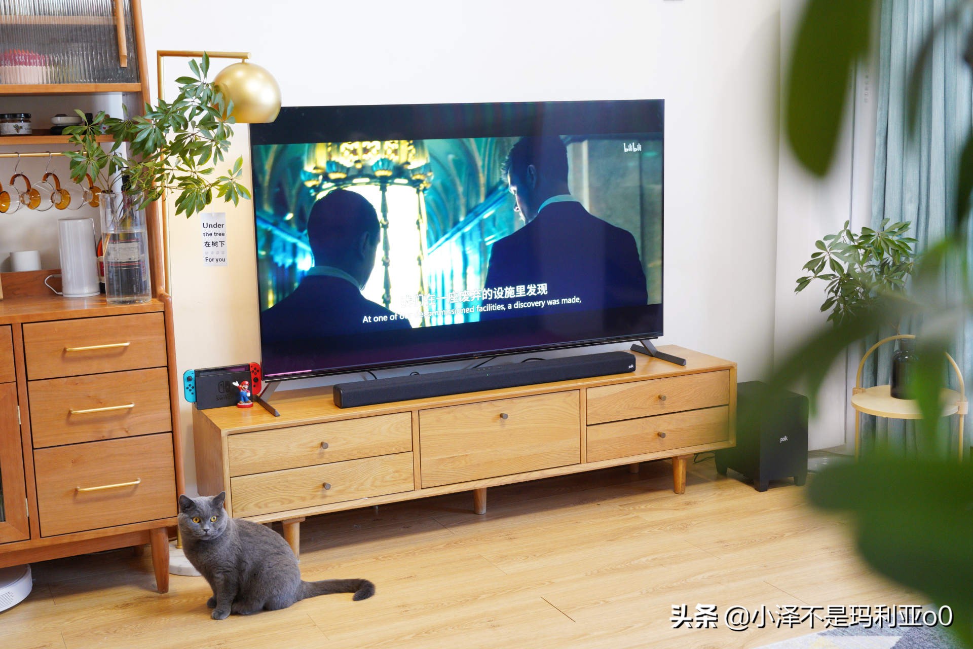 别再把条形音响当回音壁了！深入浅出，手把手教你分辨真假回音壁