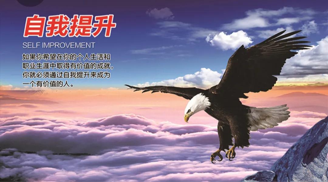 如何选择适合的赚钱方式,常见的8种赚钱方式你是哪一种呢