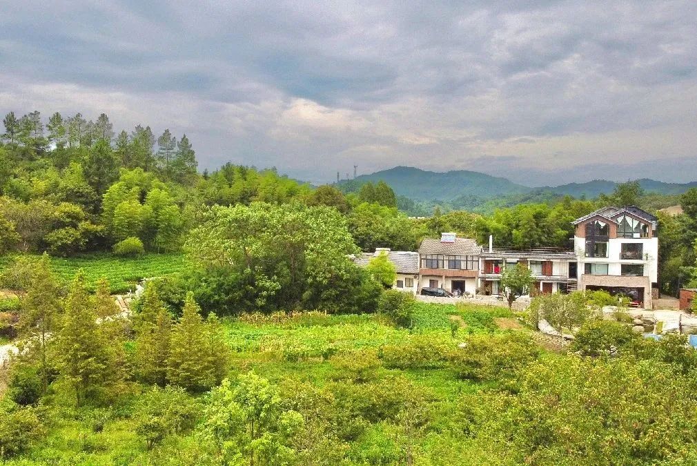 藏于山林间的民宿,安吉十家最美民宿