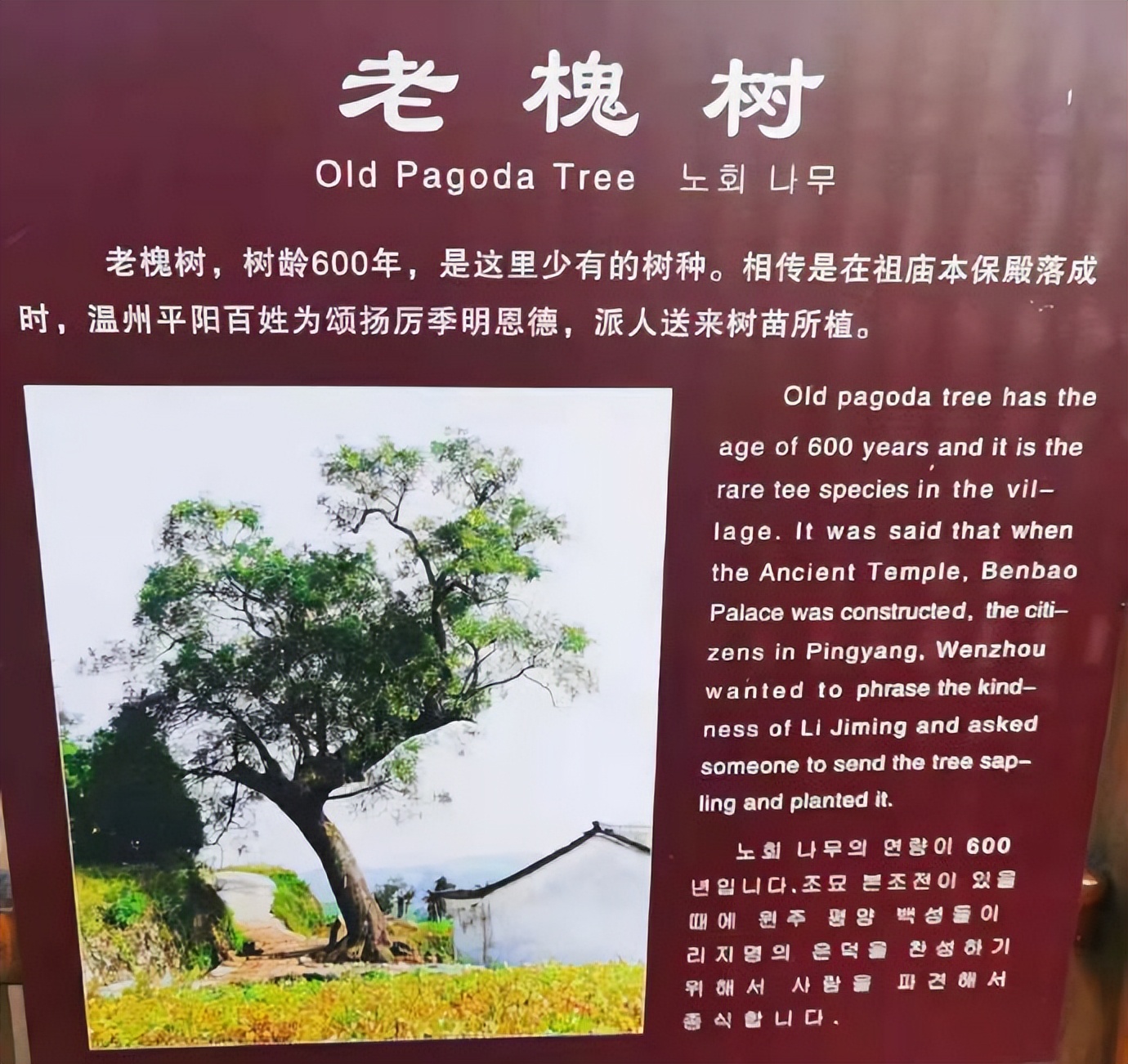 磐安乌石村免费景点,磐安乌石村夜景