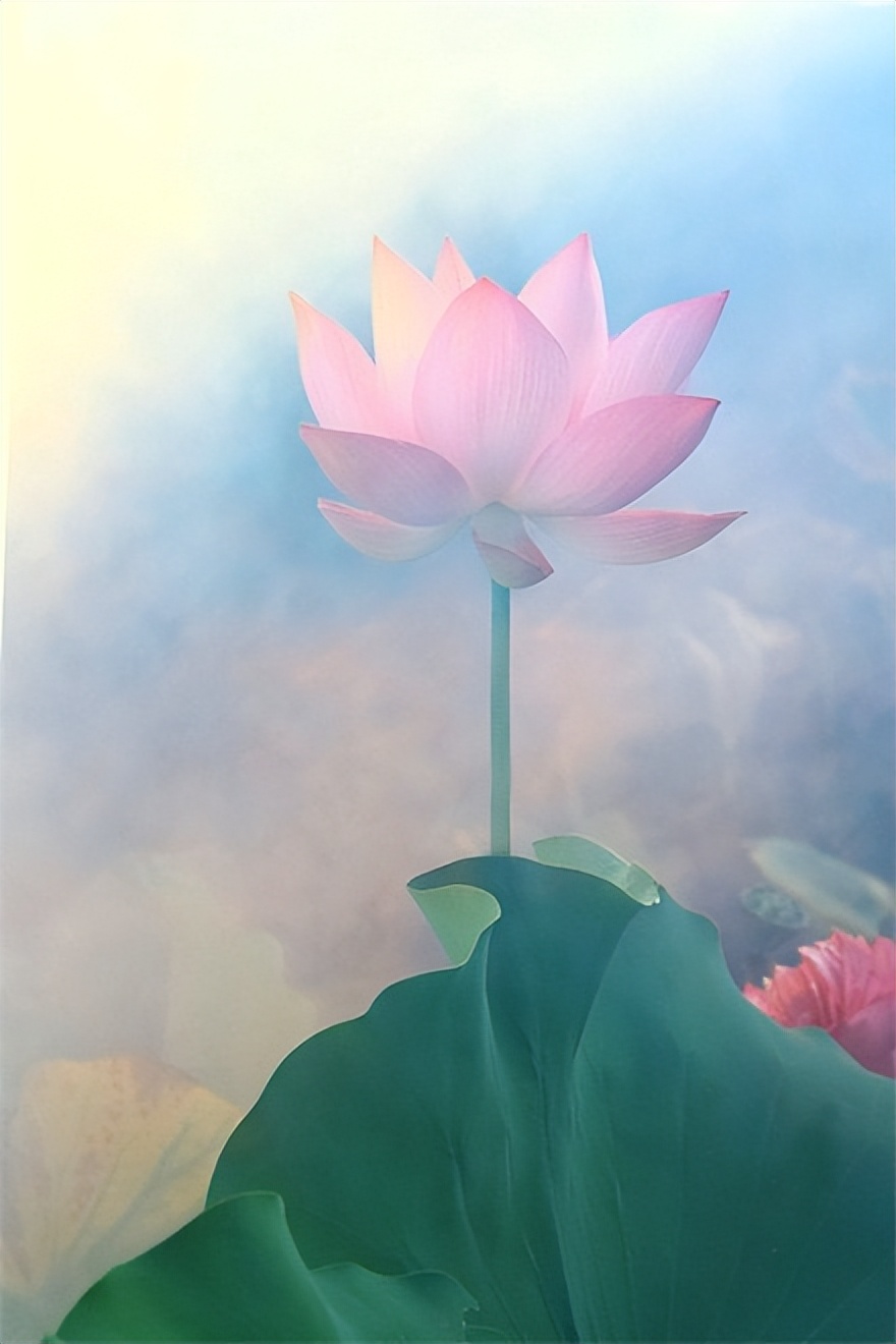 哲理情感文案伤感扎心短句,经典哲理句子句句穿心短句