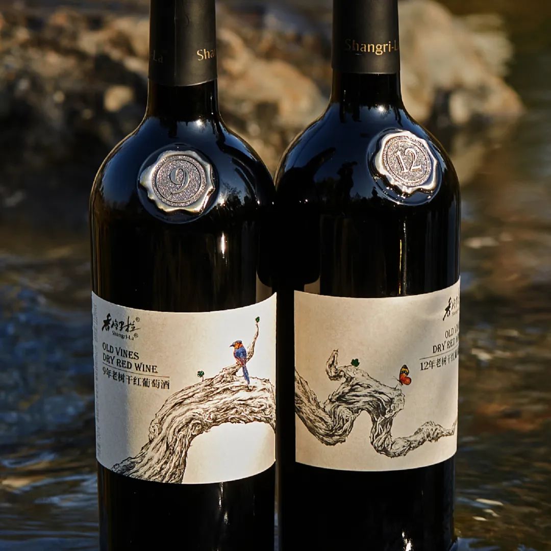 葡萄酒创意包装,红葡萄酒包装设计