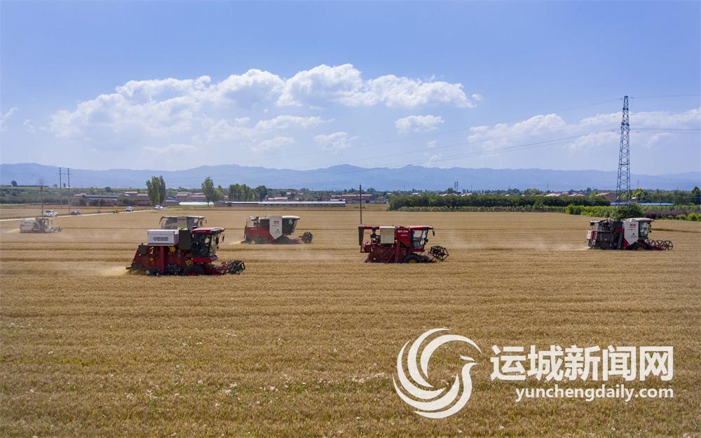 种粮人的故事,种粮人的视频