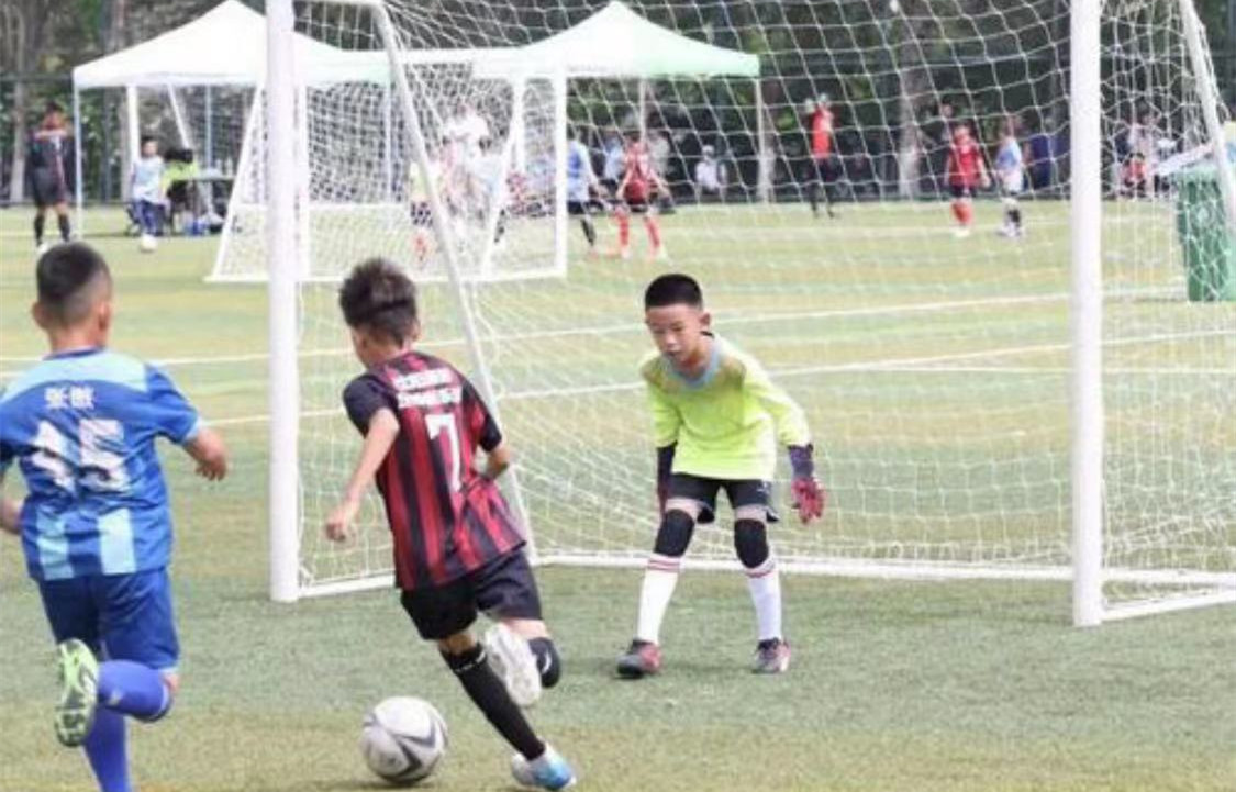 新修订的体育法来了,2022年颁布的体育政策