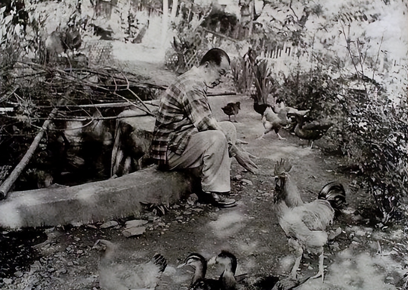 张学良阳明洞,张学良将军与贵州阳明洞