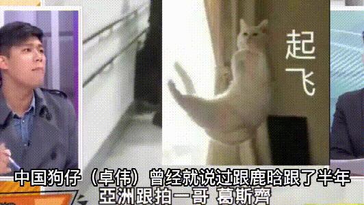 *窥偷**别人隐私，怎么就成了正义的化身，周杰伦的话都忘了吗？