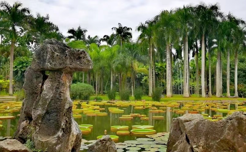 云南十大必玩景点你去过几个,云南丽江十大旅游景点大全