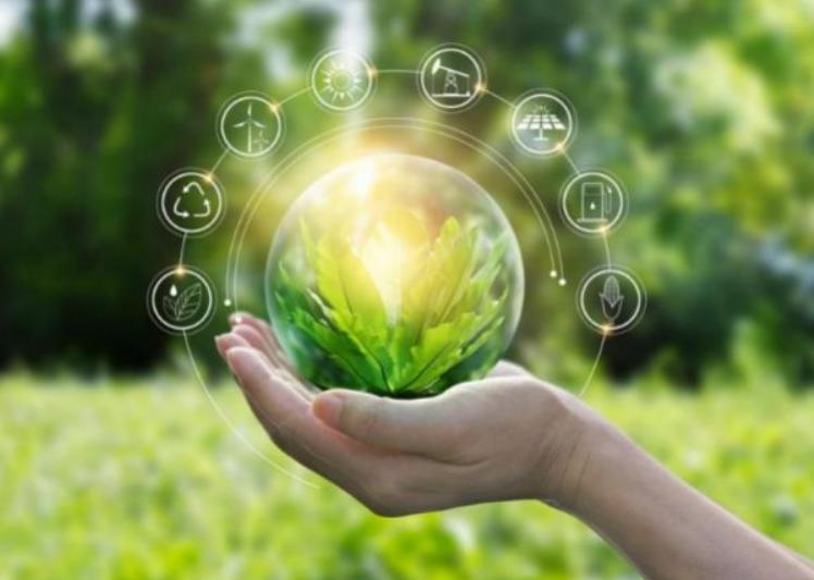 长沙岩石信息技术服务有限公司,用实力帮你圆梦