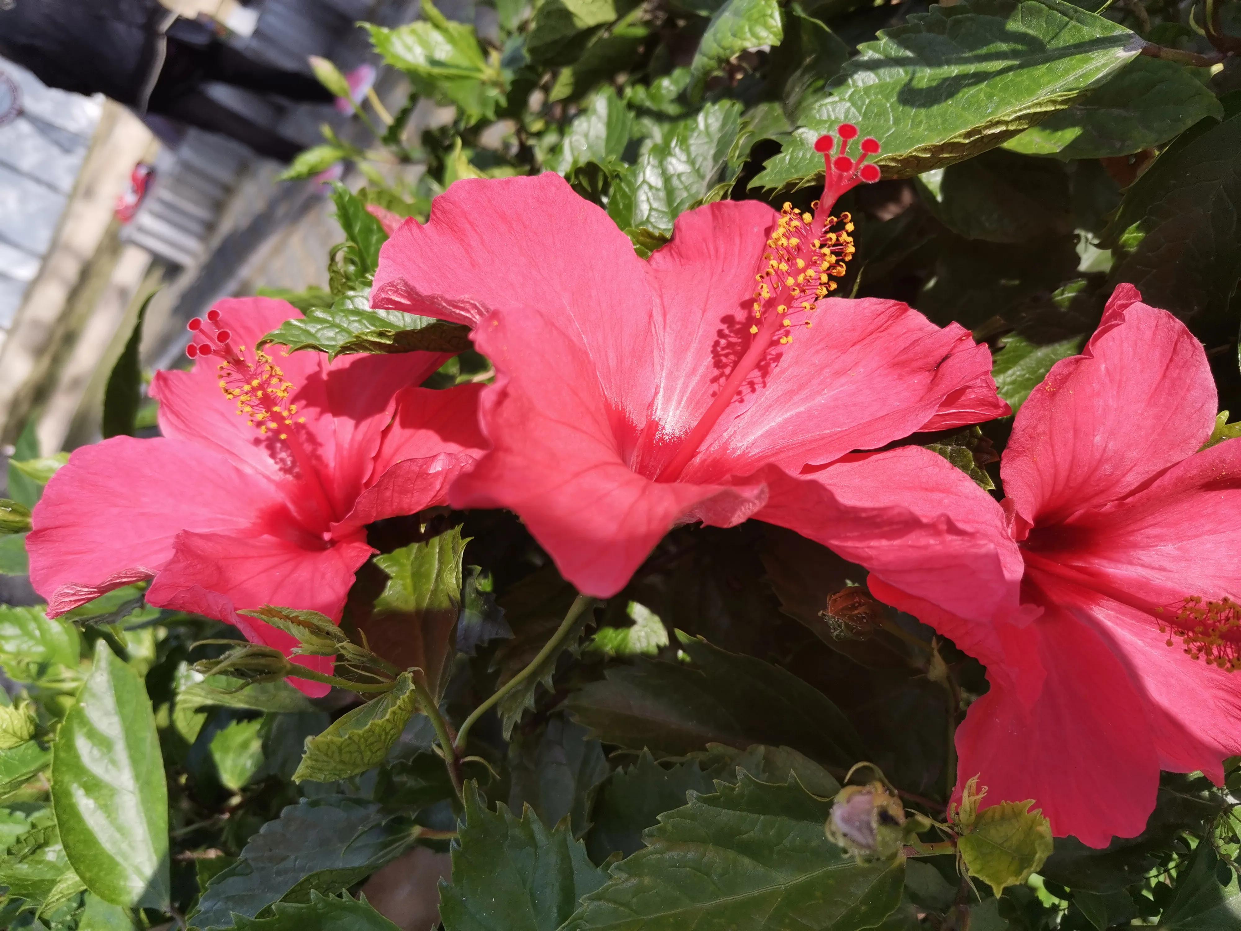 未来四种生意不要干,四种生意不能做四种生意一定要做