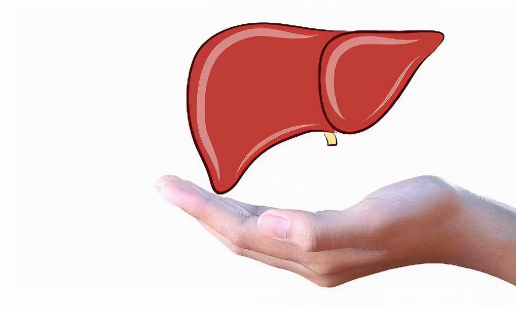 经常吃南瓜对肝有什么影响吗,多吃南瓜能保肝护肝吗