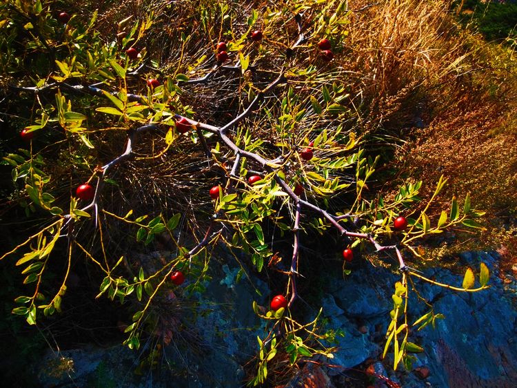 旅顺城山,旅顺城山怎么绕过去