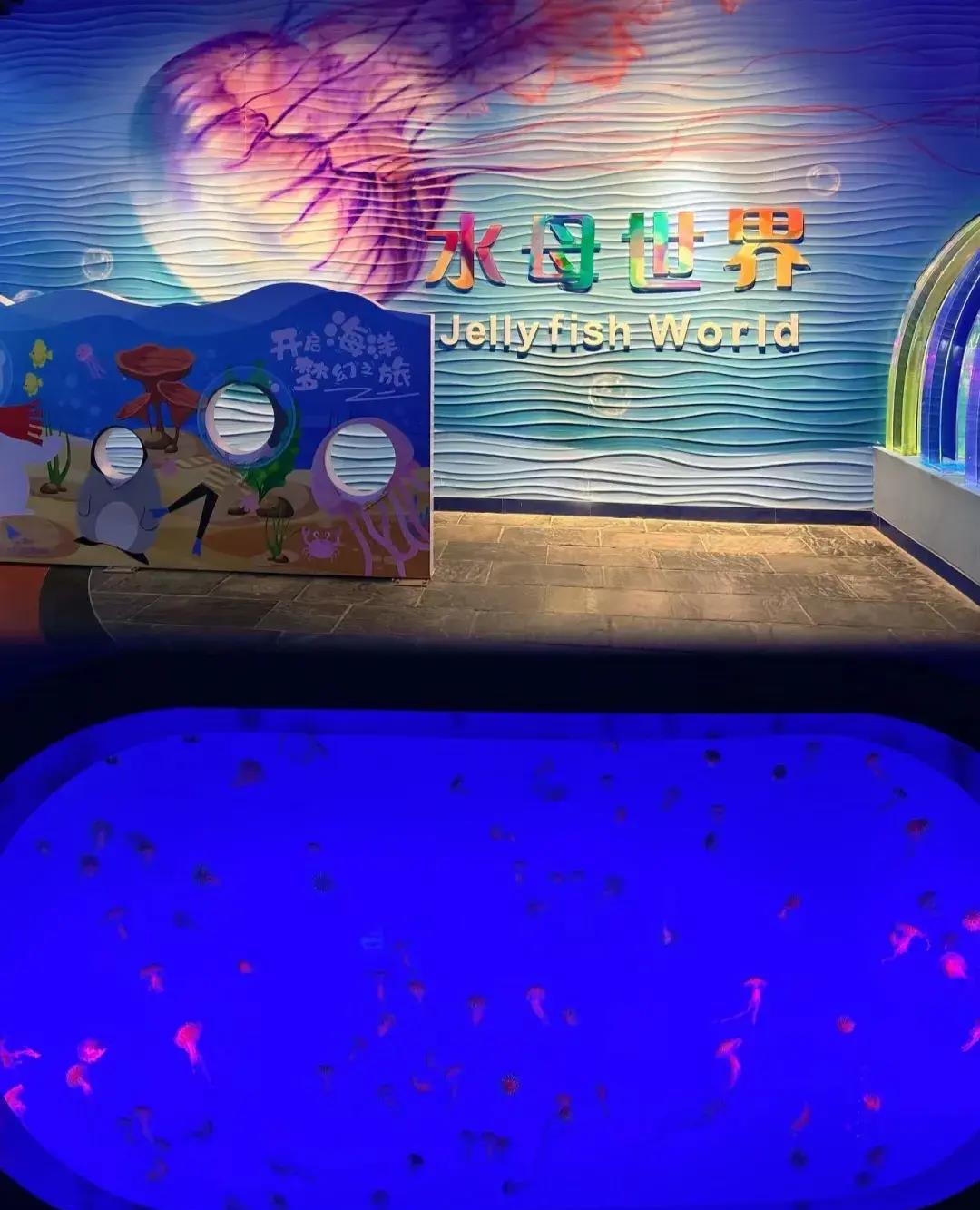 南京海底世界免费旅游,南京海底世界潜水门票