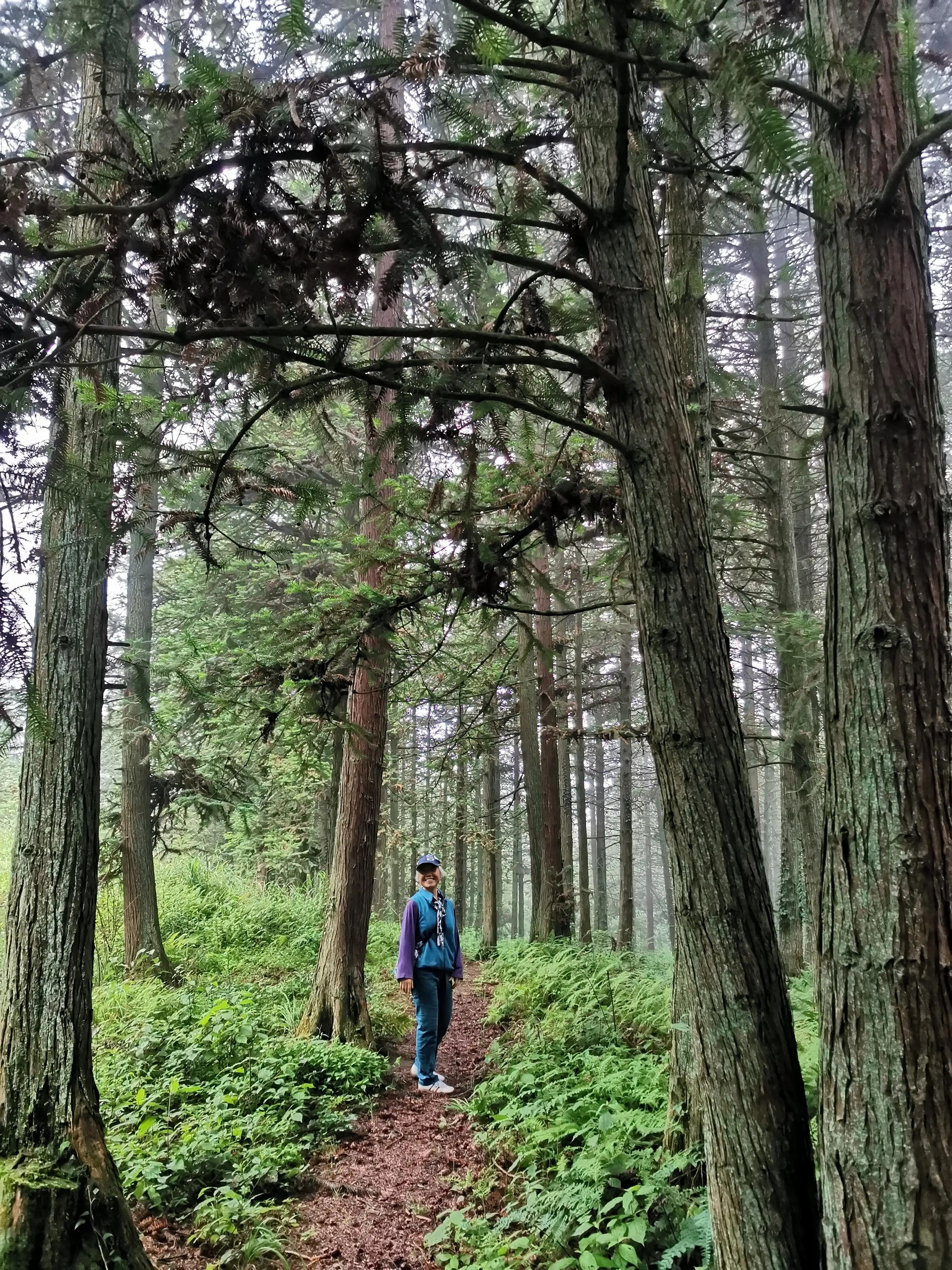 去贵州桐梓避暑哪里最好,桐梓包吃住避暑民宿