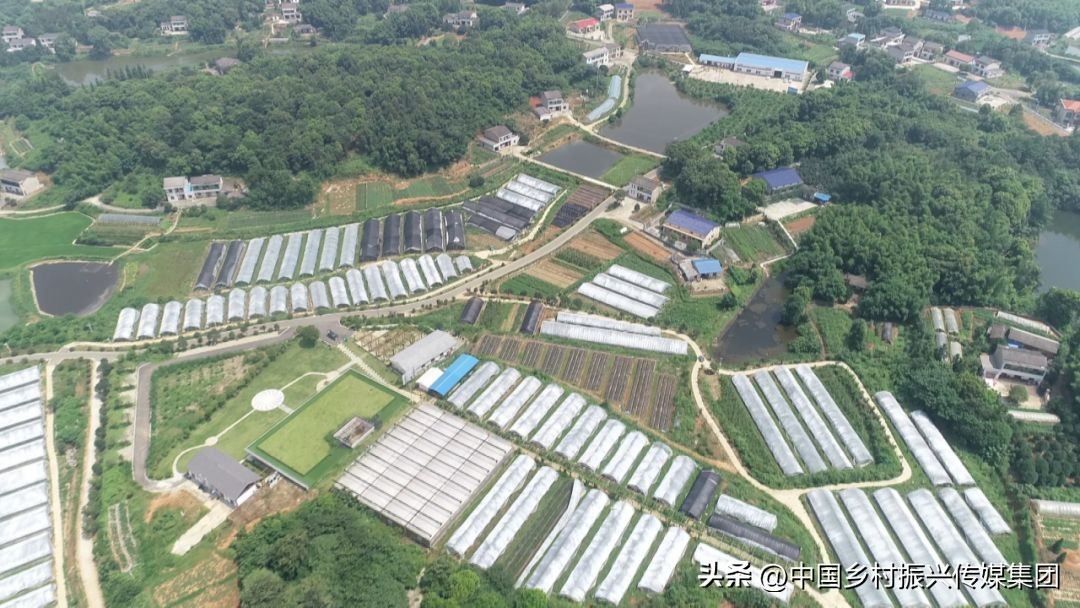 乡村振兴扶持项目在哪里申报,2023年乡村振兴项目补贴申报指南