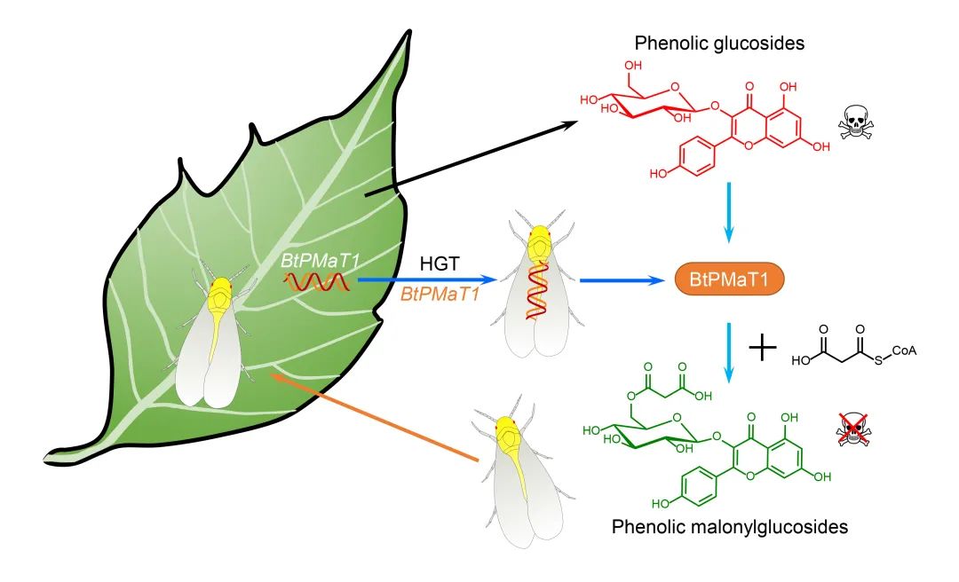2021年两院院士增选结果揭晓,院士评出2020中国十大科技进展