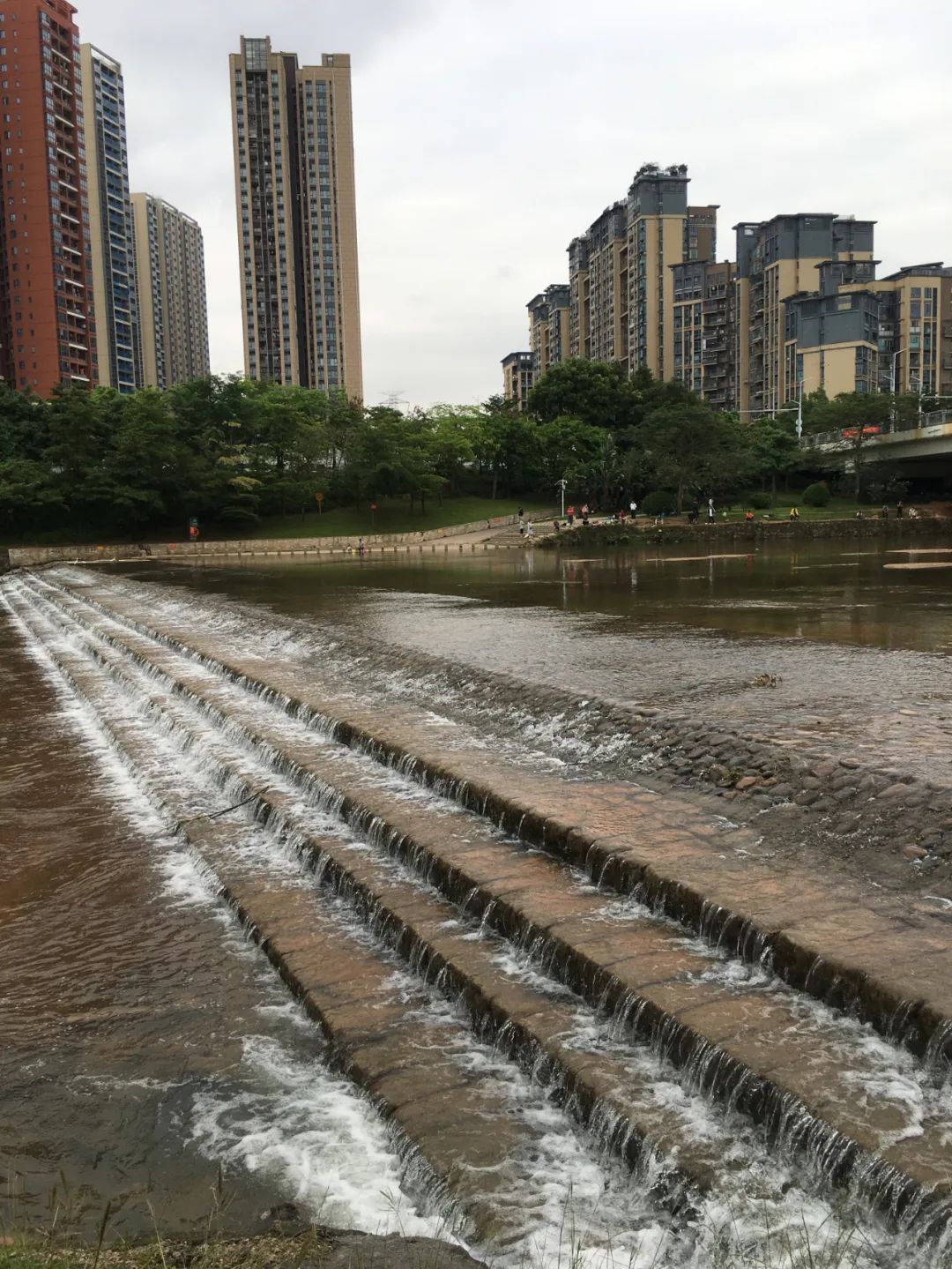 《旭光骑行深圳》第22站——龙华区观湖街道