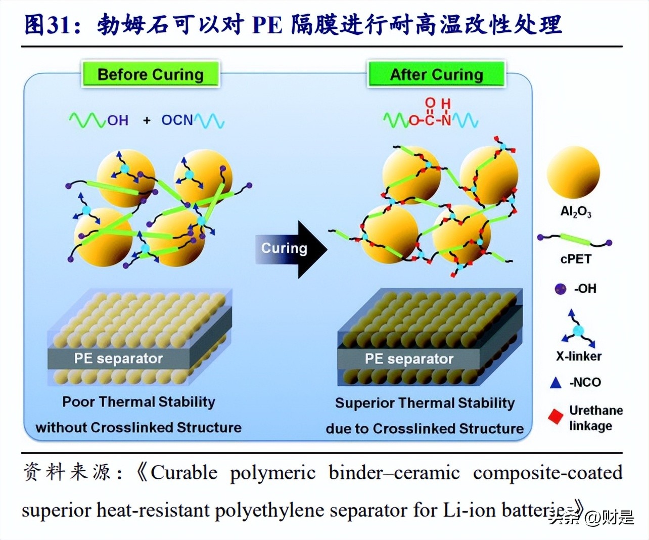 泰和新材的研报,泰和新材氨纶及芳纶