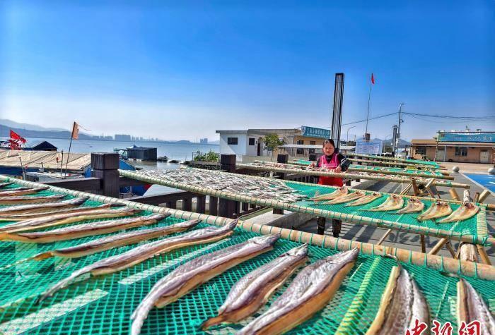 浙江渔村是怎么发展起来的,小渔村小鱼片