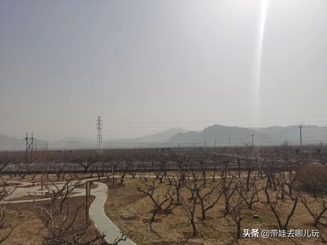 北京也有“象鼻山”？去不了桂林，可以来平谷饱眼福