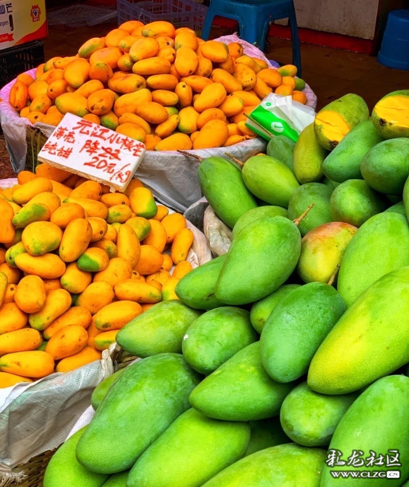 云南旅行攻略昆明,云南旅游全攻略昆明篇