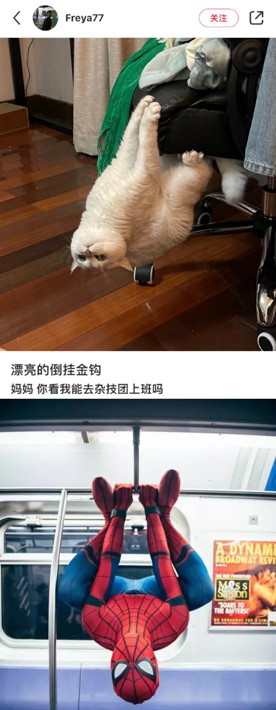 割包皮被反复收费,包皮手术为什么说是医疗骗局