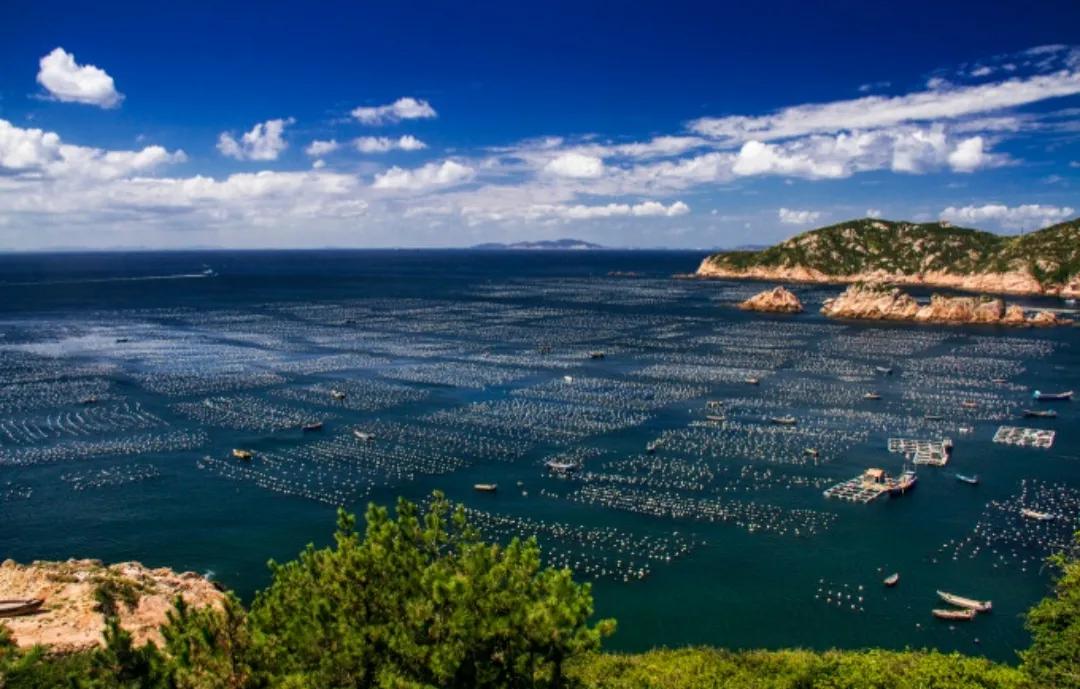 宁波出发枸杞岛旅游攻略,上海到枸杞岛自驾游攻略