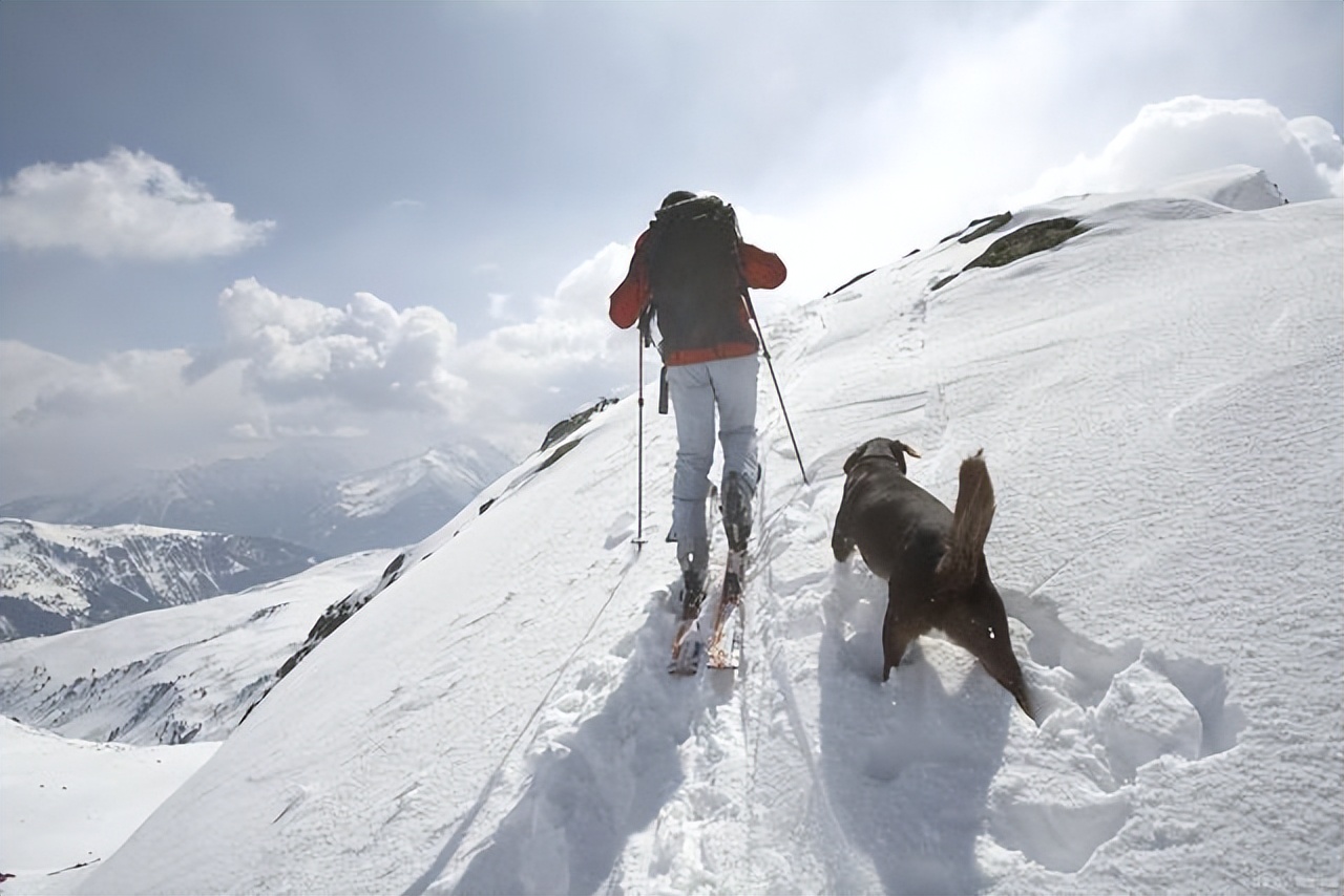 阿尔卑斯山三大北壁,世界地图上有阿尔卑斯山吗