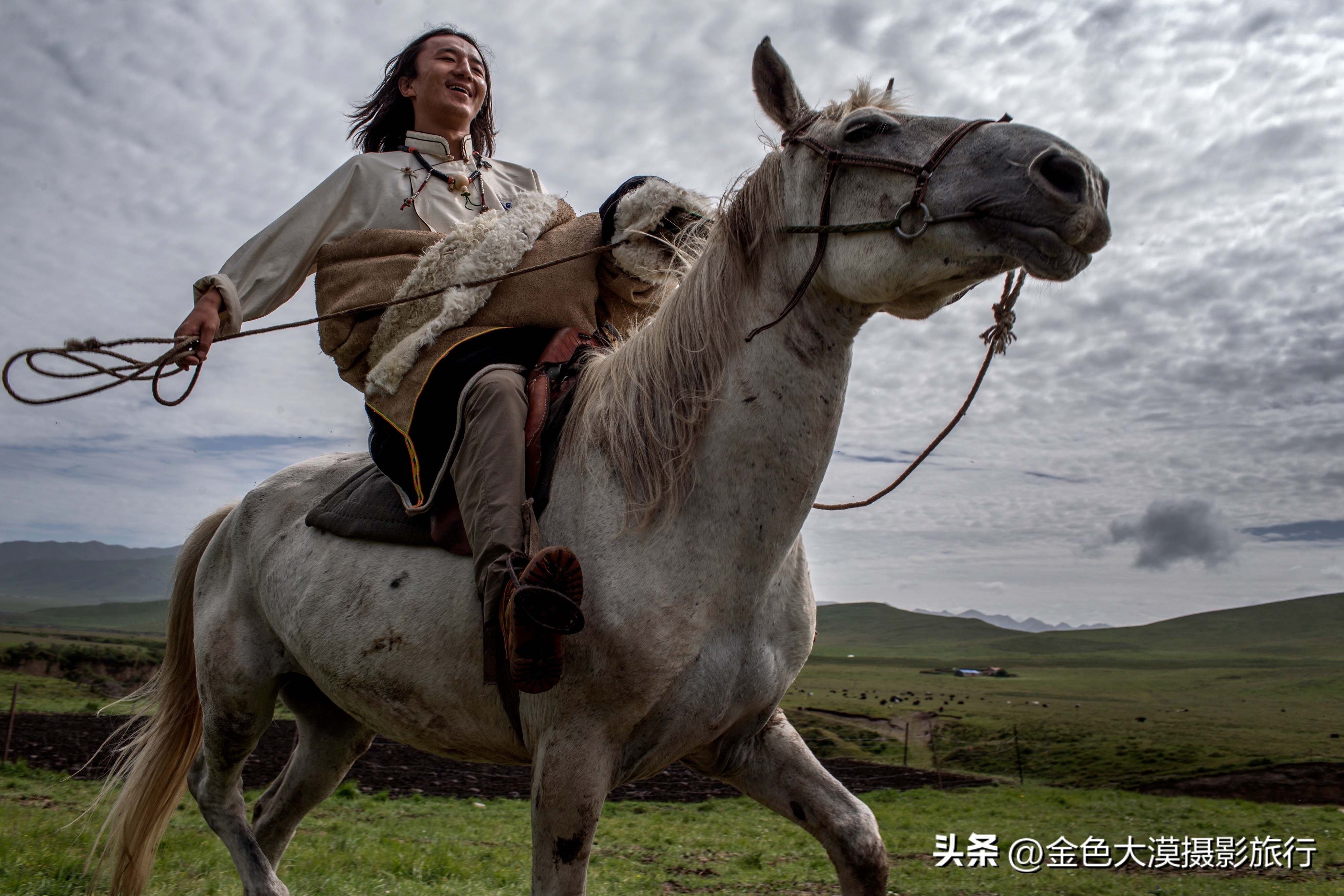 甘南之行第十一站河曲马场,甘南河曲马场视频