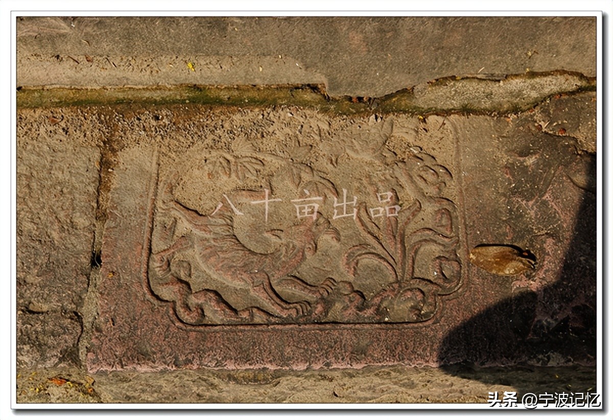 宁波市海曙区龙观乡政府网,宁波市海曙区龙观乡大庄水库