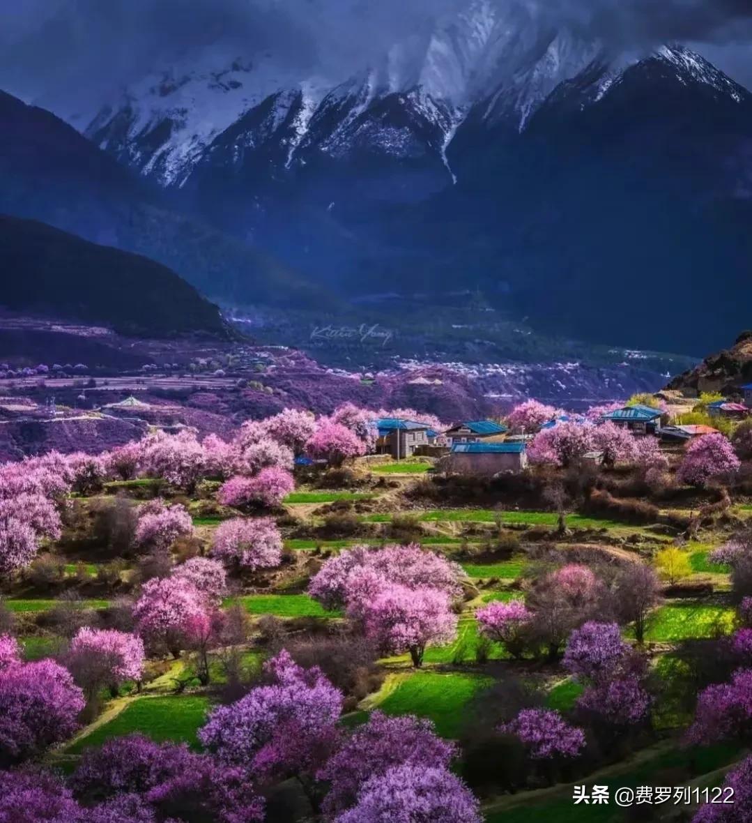 四月九寨沟美不美,四月的九寨沟点点滴滴