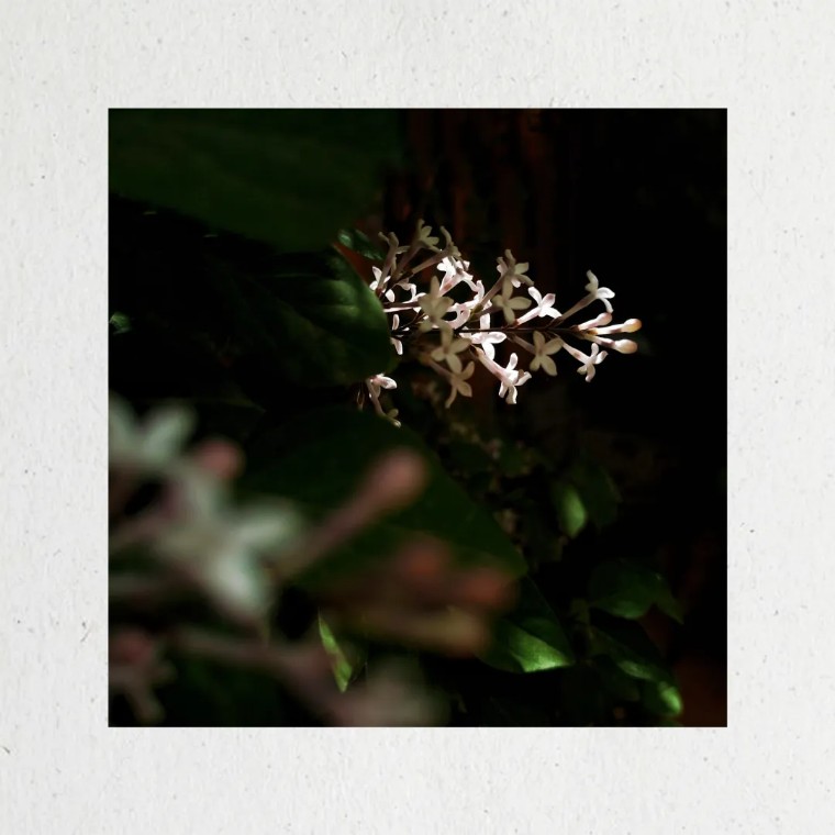 摄影图片二次构图,一张照片二次构图就会眼前一亮