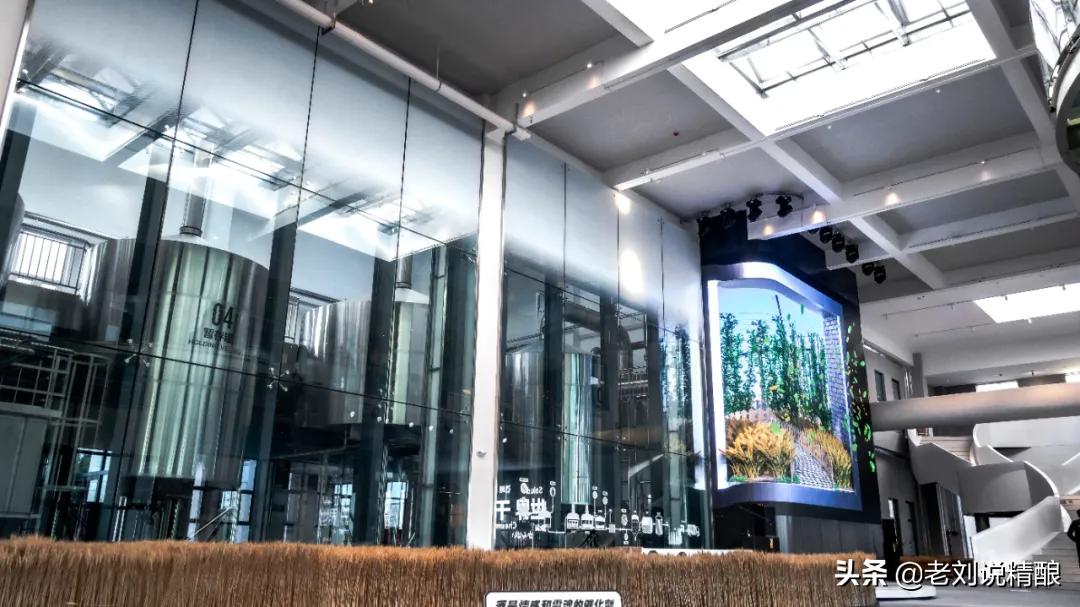 精酿啤酒体验馆规划设计,怎样建精酿啤酒工厂