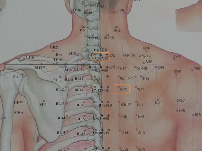 冬天咳嗽频发,麦迪森健康提示您:几招加速痊愈