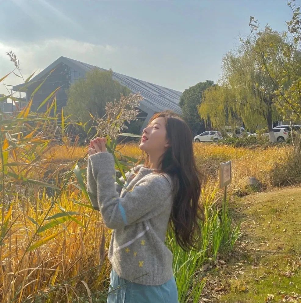 赵露思表情包头像,下载赵露思爱豆头像