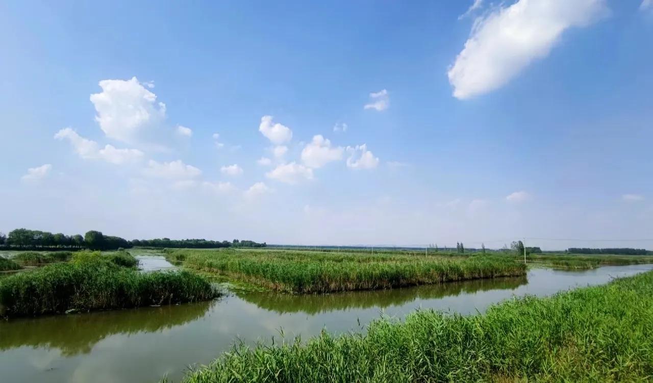 微山湖湿地与滕州红荷湿地哪个好,微山湖湿地和微山湖红荷湿地公园