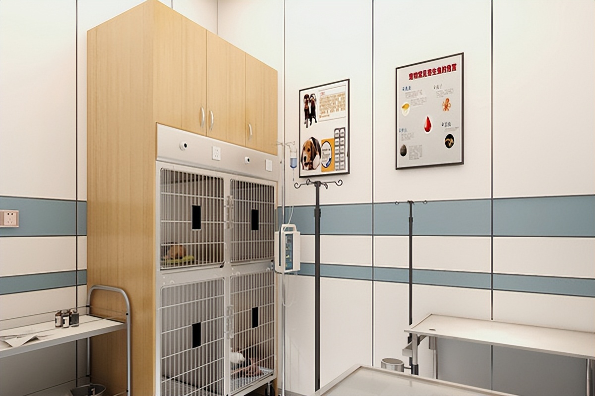 宠物医院的高端技术,宠物医院改进方案