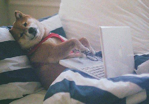 这张图全网疯传,摄影师本人回应