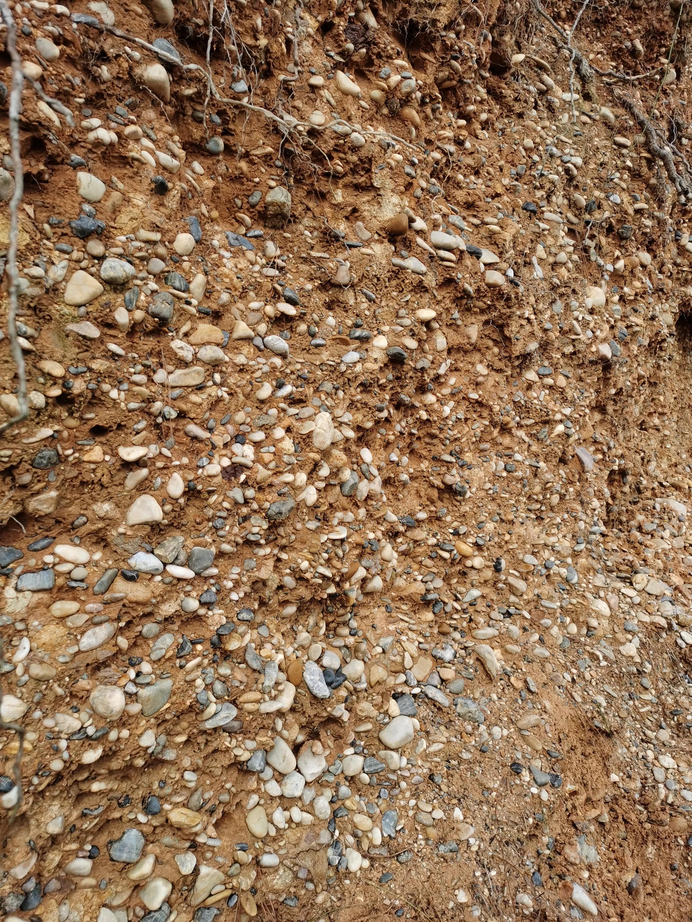 六合雨后捡雨花石,雨后捡雨花石