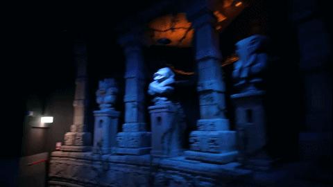 十部顶级丛林冒险电影勇敢者游戏,勇敢者游戏主题公园